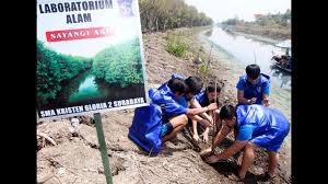 Tik tok hot indo cewek cantik video viral jilbab sma terbaru 🔞buka sitik bosss. Tentang Smas Kristen Gloria 2 Surabaya Kota Surabaya Review Komunitas Promosi Online