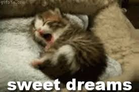 Dreams where you see a lot of cats roaming around you or. Sweet Dreams Gif Cute Cat Sweetdreams Discover Share Gifs Kittens Cutest Cute Cats Cats And Kittens