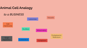 We did not find results for: Animal Cell Analogy Business By Taylor Simon