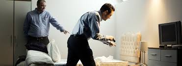 When it comes to pest control, who is financially responsible? Integrated Pest Management For Hotels Rentokil Pest Control