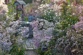 Aucun Texte Alternatif Disponible Cottage Garden Autumn Garden French Garden