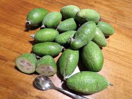 Image result for Feijoa