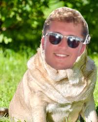 UNCW Sigma Alpha Epsilon