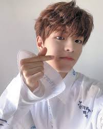 But seriously i don't have any idea to guess what is his mbti. Here Are The Stray Kids Members Ideal Romantic Matches According To Their Mbti Personality Types Kpophit Kpop Hit