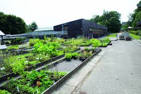 דברים לעשות ליד ‪botanischer garten der universität ulm‬. Leiser Helfer Im Botanischen Garten Ulm Kommunaltopinform