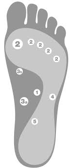 Pressure Point Pressing Foot Chart Melt Method Foot Chart