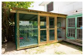 Cattery1 Jpg 960 639 Pixels Outdoor Pet Enclosure Cat Enclosure Cattery