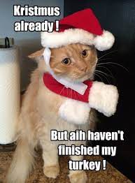 Lolcats Thanksgiving Lol At Funny Cat Memes Funny Cat Pictures With Words On Them Lol Cat Memes Funny Cats Funny Cat Pictures With Words On