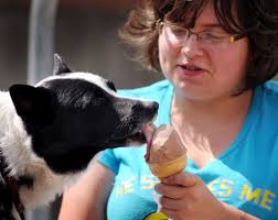 Animals got talent at Missoula's Pet Fest