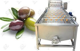 Pin On Fruit Vegetable Washing Machine