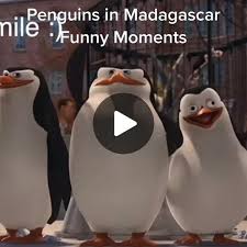 Download This High Resolution Penguins Icon Clipart - Stupid Penguin From  Madagascar, Hd Png Download - Vhv