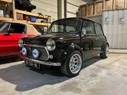 Image result for Mini Mayfair