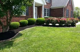 We provide the best landscaping services in the city of louisville. Abbott S Quality Cut Lawn Care 7018 Village Gate Trce Louisville Ky 40291 Yp Com