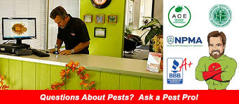 Yellow pages » tx » arlington » pest control. Ask A Pest Pro