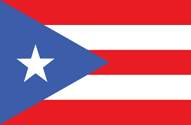 Flags flown in puerto rico as a spanish colony in 1873, a new colonial flag was introduced by the spanish government, a design that resembled the flag of spain, with a coat of arms in the center. Puerto Rico Flagge Paket Country Flags