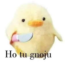 images?q=tbn:ANd9GcRFvvQfjrwRLAtXZ49TLR2