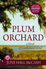 June Hall Mccash S Novel Set On Cumberland Island Enjoy Cumberland Island Historical Novels Cumberland