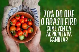 O volume do setor de serviços do brasil cresceu 0,7% em abril em relação a março, e teve alta de 19,8% na comparação com o mesmo mês do ano anterior, informou o ibge (instituto brasileiro de geografia e estatística) mais cedo. Por Dentro 3 5 Dia Do Campo