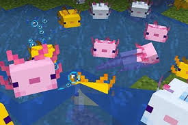 In minecraft, there is a spawn egg called axolotl spawn egg that is pink with magenta spots. Minecraft Axolotls Guide Where To Find How To Tame And Breed Axolotl Radio Times