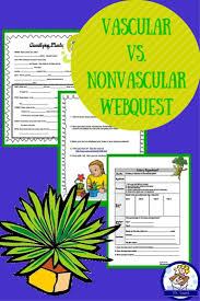 Vascular Vs Nonvascular Plants Webquest And Celery Experiment Webquest Teaching Plants How To Find Out