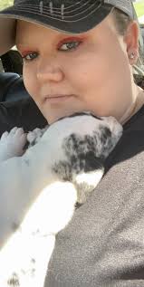 Adopting a new Chihuahua after losing a pet