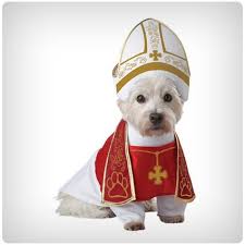 Check spelling or type a new query. 105 Best Halloween Costumes Of 2018 Dodo Burd