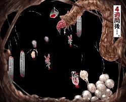 東方 アリス・マーガトロイド触手苗床産卵遊び - HentaiPaw