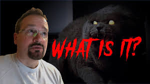 There's Something DEAD in HERE . . .