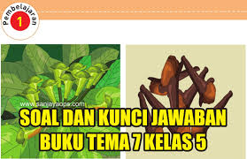 Kunci Jawaban Bahasa Inggris Kelas 5