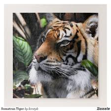 Sumatran Tiger Jigsaw Puzzle Zazzle Com In 2020 Animal Photography Wildlife Sumatran Tiger Nature Photography Animals