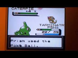 Thanks for downloading pokemon prism. Download Pokemon Prism Hunded Forest 3gp Mp4 Codedwap