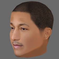 Pharrell Williams Head