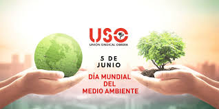 Una buena forma de conmemorar el día mundial del medio ambiente es contribuir al cuidado de nuestra naturaleza y luchar contra el cambio climático. Vlmwocf3k68nqm