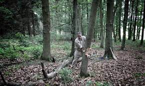 Sie verfügt in der regel über eine beidseitig angeschliffene, mehr oder weniger schlanke klinge mit relativ spitzem schneidenwinkel, um ein leichtes eindringen in das holz zu ermöglichen. Baume Fallen Mit Der Steinzeitlichen Axt Zeiteninsel Blog