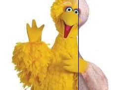 Bird With Big Feathers Big Bird Without Feathers Will Ruin Your Childhood Big Bird Cool Animated Gifs Bird