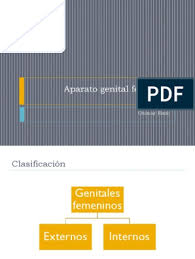 Aparato Genital Femenino Chart Bar Chart
