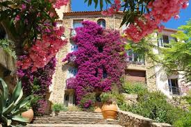 The Old Village Of Bormes Les Mimosas Sitting On A The Flank Of The Forested Maures Mountains Is Well Decorated With Mimosa Planten Tuin Provence Frankrijk