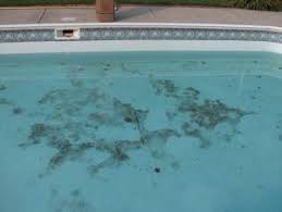 After clearing all the stains and adding a metal sequestering agent, put your filter on filter and leave your pool for 24 hours before adding anything. Vinyl Liners Tackling The Toughest Stains Of All The Kind Behind The Liner Pool Spa News