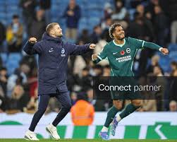 Licensable picture: UK: Premier League: Manchester City v Brighton & Hove Albion