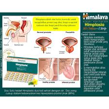 Kosongkan pundi kencing anda dengan buang air kencing secara kerap dan apabila timbulnya keinginan anda. Himplasia 30 S Tablets 1 Strip Ayurvedic Herbal Remedy For Maintaining A Healthy Prostrate Shopee Malaysia