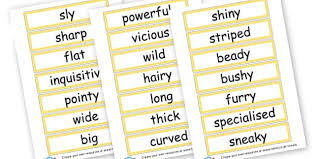 Adjective is a word that describes, clarifies or further identifies a pronoun or noun (noun is a word that is used to identify any of a class of people, places, ideas, objects or things). Adjectives Describe Nocturnal Animals