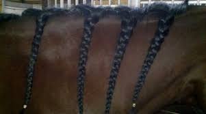 One led braided hair each polybag. 2012 The Show Groom