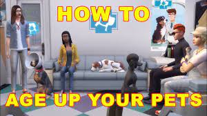 This will age them up. Sims 4 Cats Dogs How To Age Up Pets Youtube