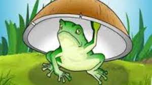 Tempurung dalam kamus besar bahasa indonesia (kbbi) memiliki arti, yaitu kulit buah yang keras, terutama kulit buah kelapa; Cerita Peribahasa Katak Dalam Tempurung Dongengpengantartidur Menaradongeng Youtube