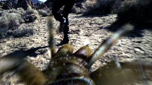 No place is safe no one is beyond their paralyzing sting. 13 Camel Spiders A Roger Corman Tv Movie 2011
