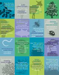 Image result for Science Environment Biodiversity Extinction