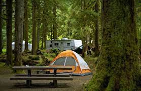 Maybe you would like to learn more about one of these? Rv Camping At Olympic National Park