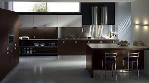 sleek modern kitchen looks like a posh