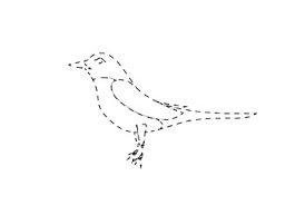 Téléchargez de superbes images gratuites sur bunny. Feed The Animals Bird Traceable By Firydrgn Designs Tpt
