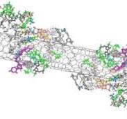 Robust technique for dispersion of single-walled carbon ...